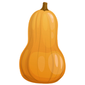 Courge Butternut